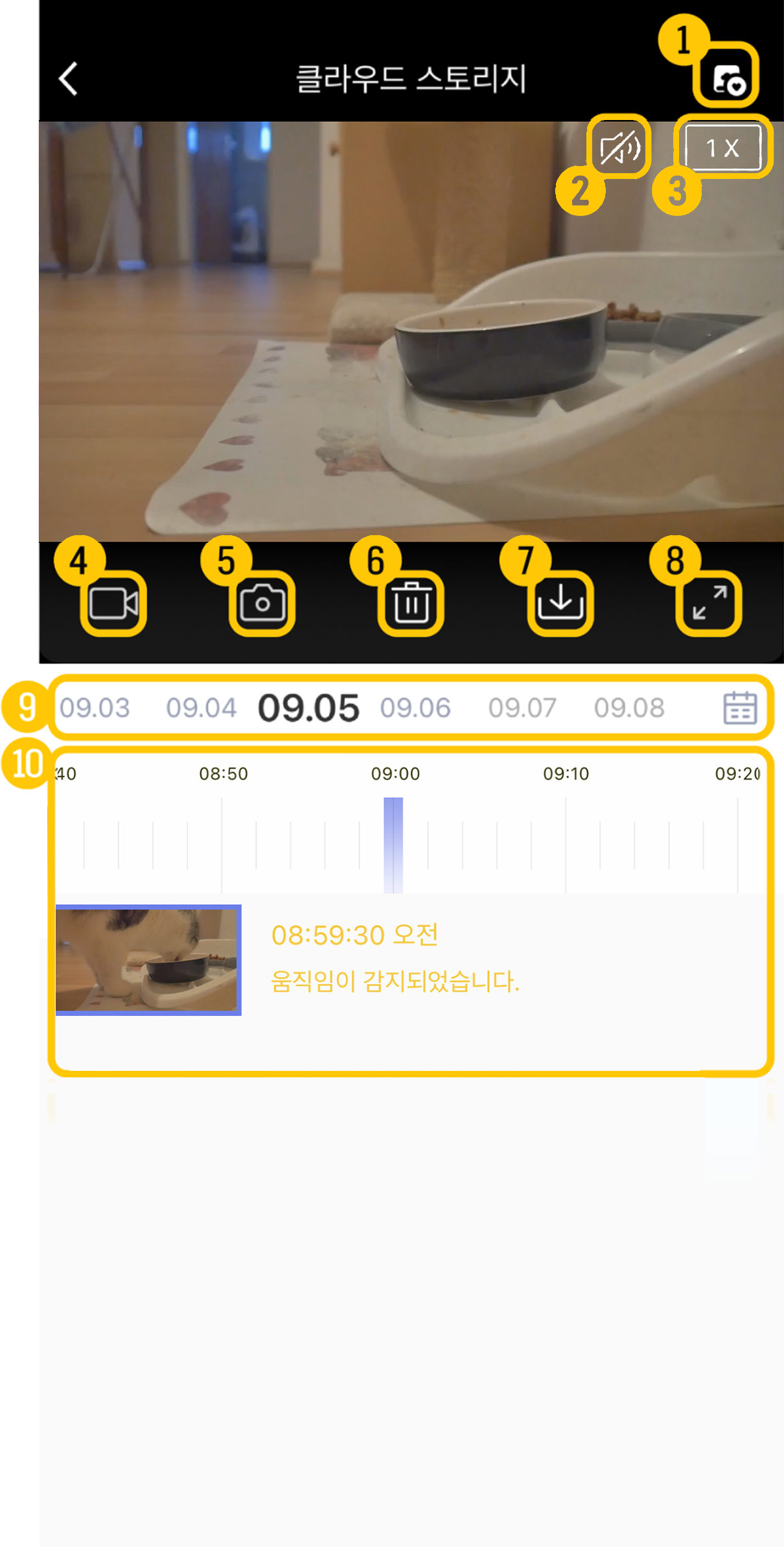 05.png